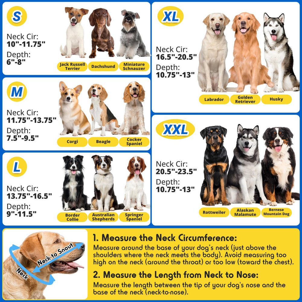 Didopet soft-neck cushioned cone for all-day comfort