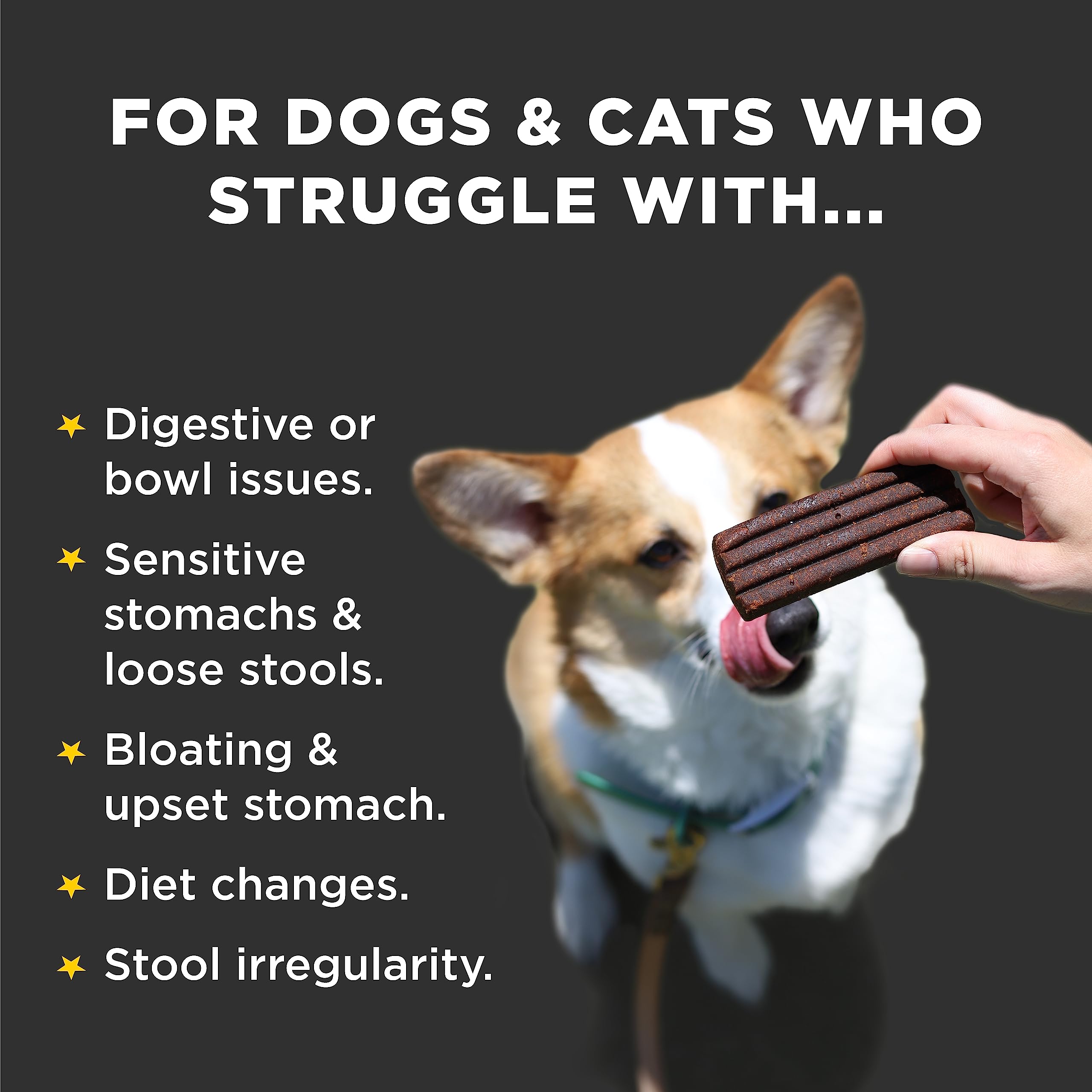 Diggin' Your Dog Firm Up Bars being fed to a dog illustrates palatable pumpkin flavor.
