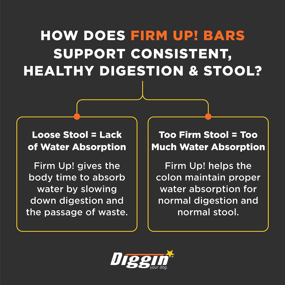 Diggin' Your Dog Firm Up Bars pumpkin and apple pectin close-up highlights fiber ingredients.