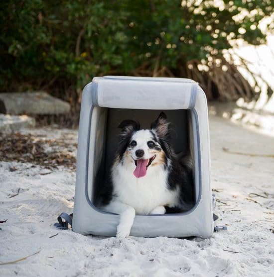 Diggs Enventur crate with ventilated mesh windows for airflow.