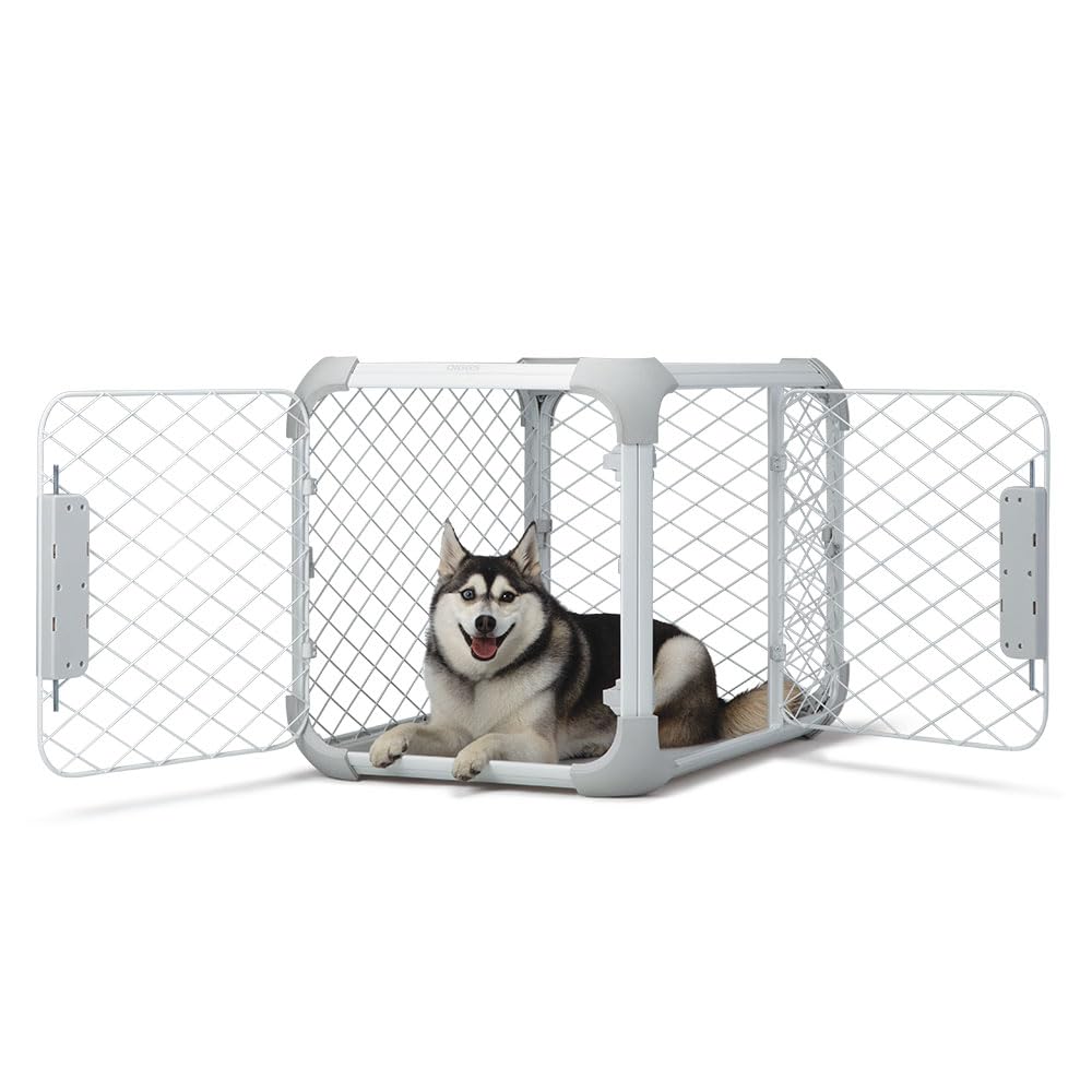 Diggs Evolv dog crate assembly shows modular design for flexible home setup