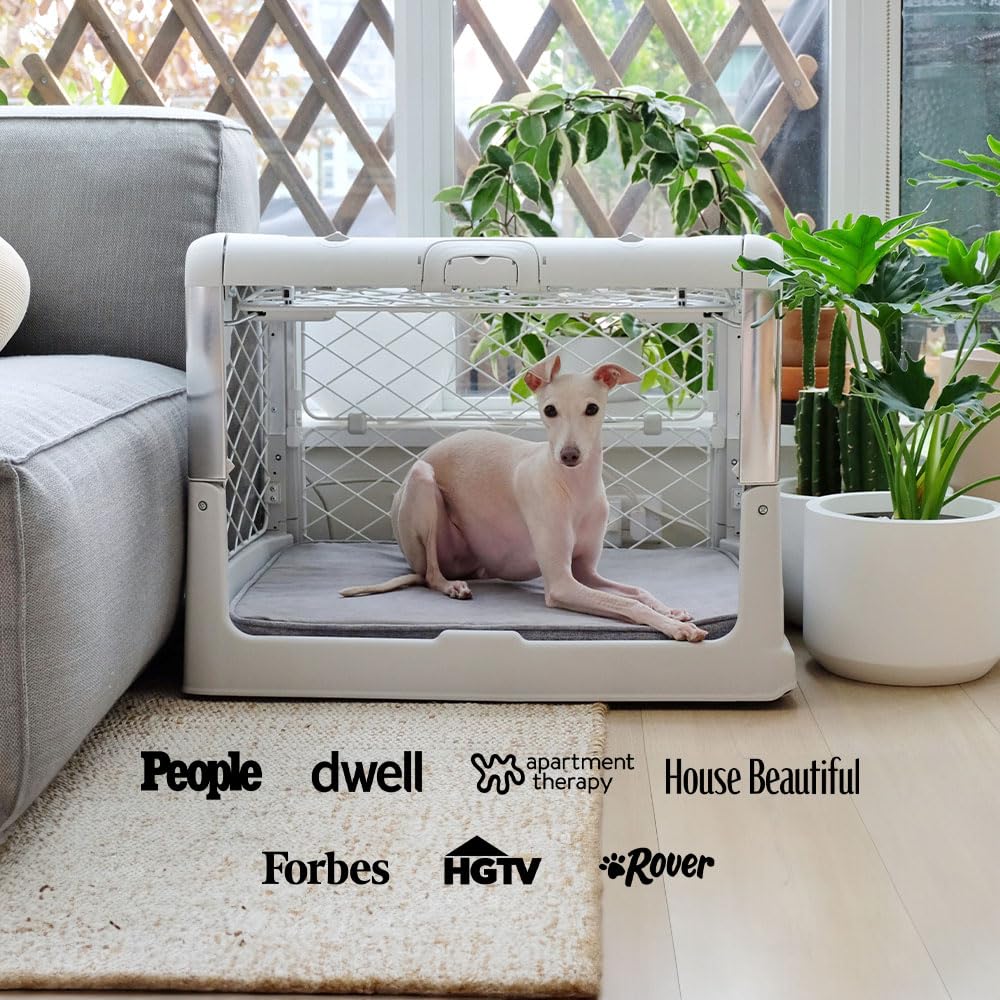 Diggs Revol ash medium crate fits stylishly in living spaces.