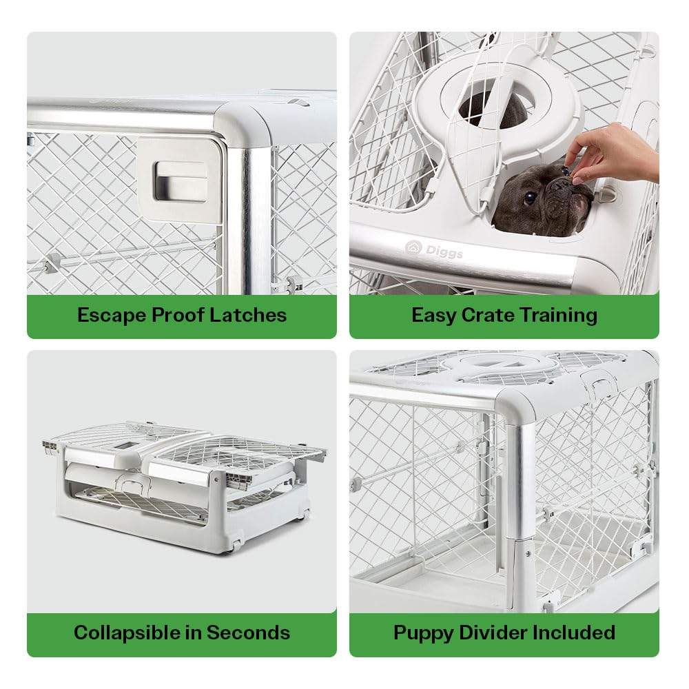 Diggs Revol ash small crate front door access for versatile training and comfort.
