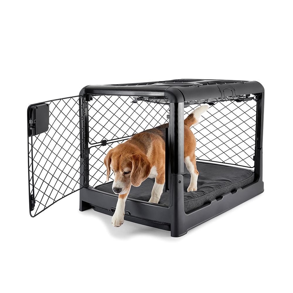 Diggs Revol collapsible crate in living room shows quick setup for busy homes.
