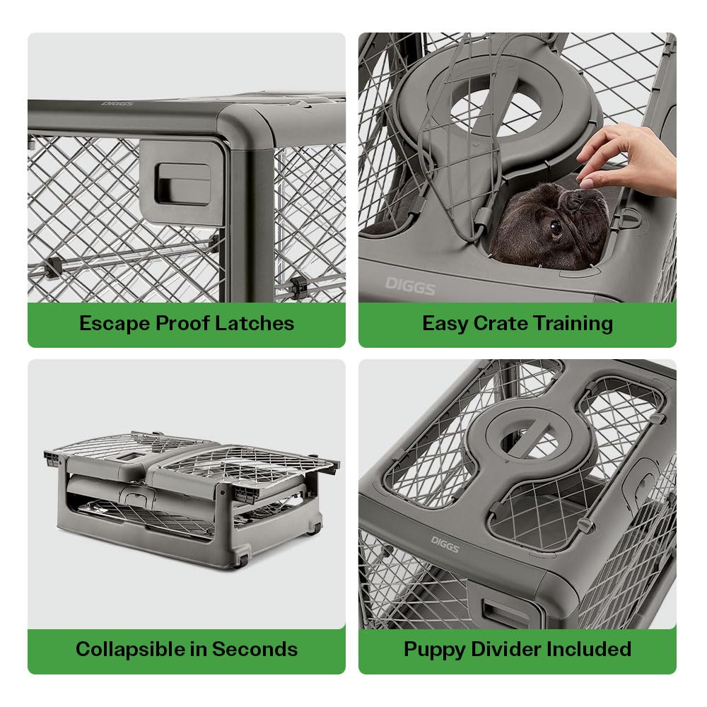 Diggs Revol crate dimensions show a compact footprint for mid-sized dogs.