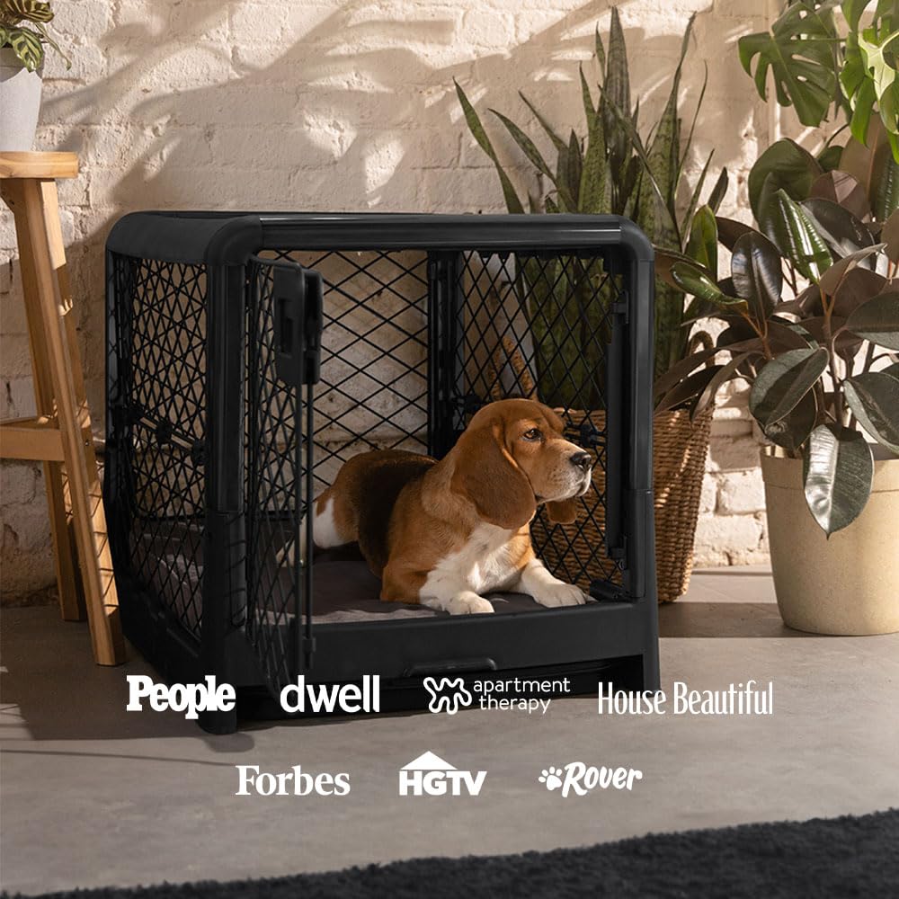 Diggs Revol durable-frame with wheels ensures safe, stable transport around home.