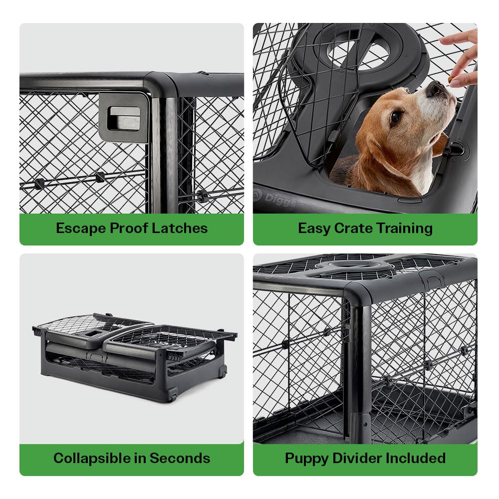 Diggs Revol top hatch provides easy access to comfort your dog during training.