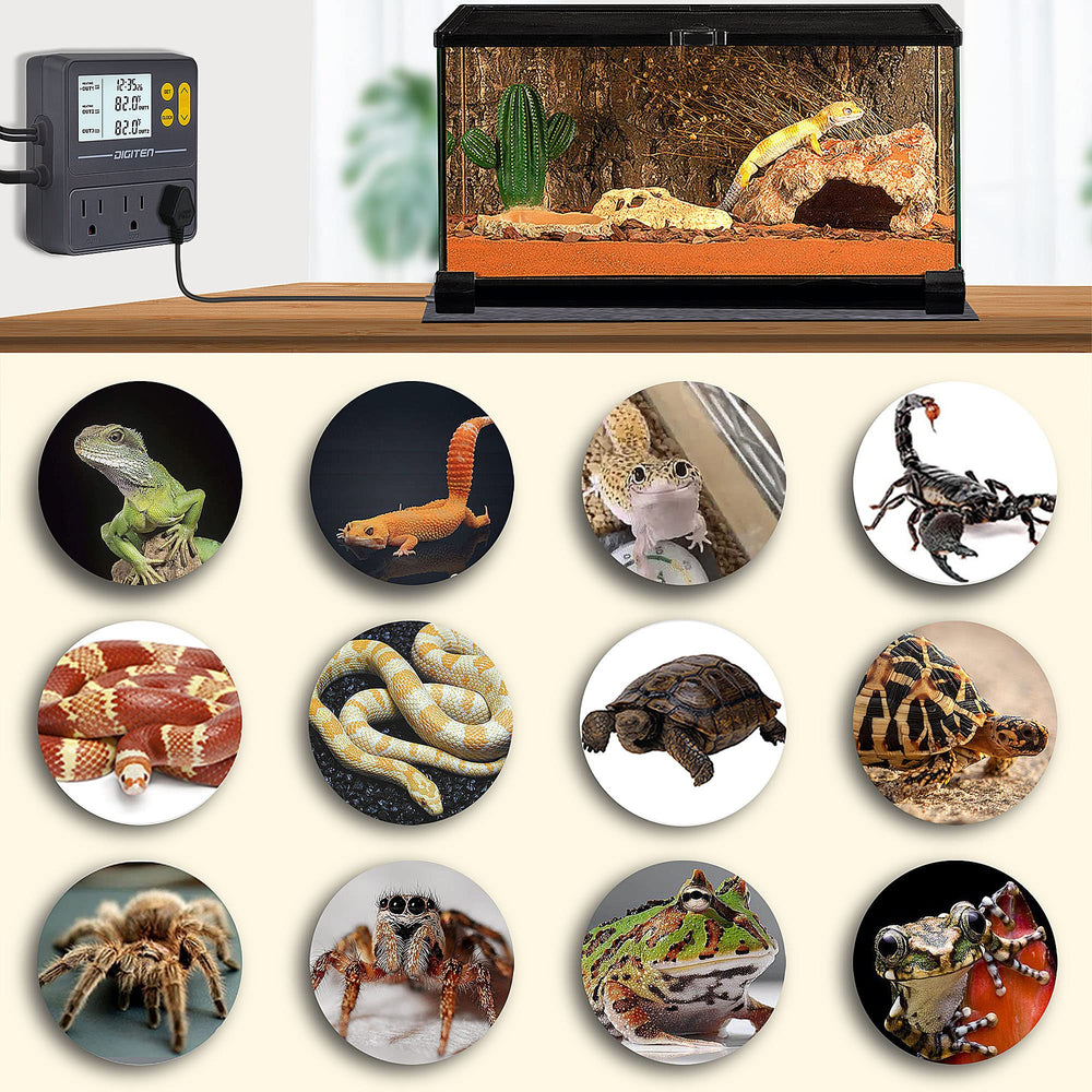 DIGITEN device switches between Celsius and Fahrenheit for versatile environments.