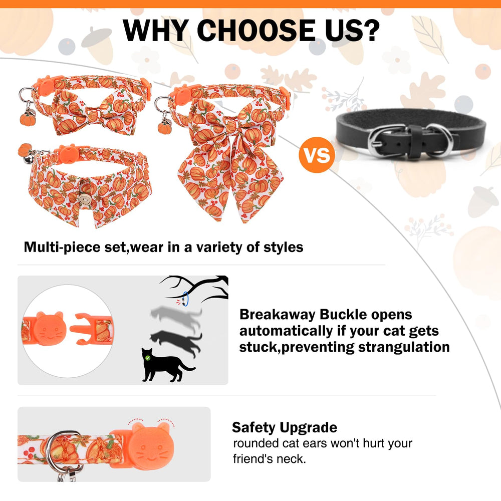 DILLYBUD 3-styles package collar set provides versatile looks for photos or daily wear.