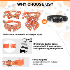 DILLYBUD 3-styles package collar set provides versatile looks for photos or daily wear.