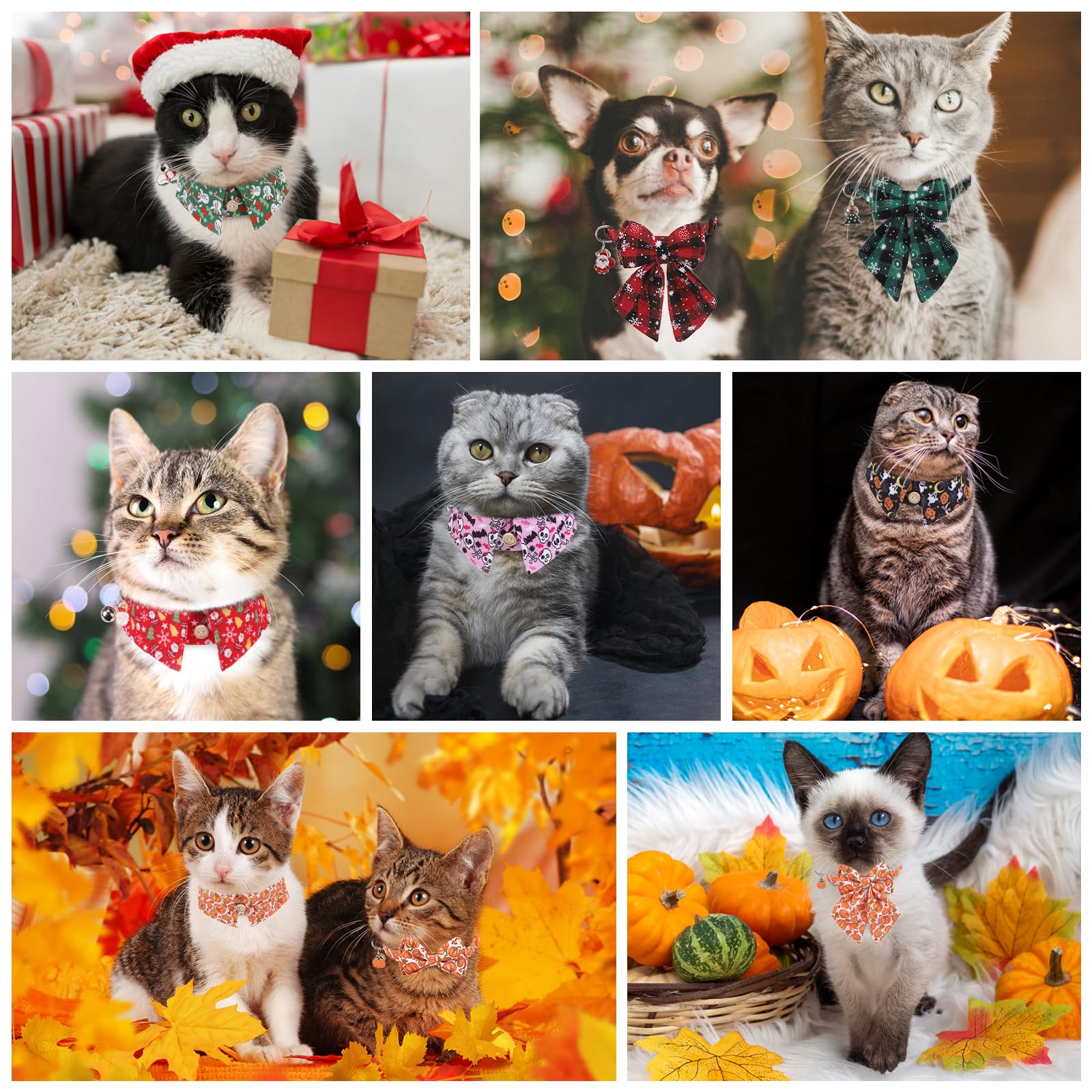DILLYBUD adjustable cat collar fits 8-12 inches for comfortable everyday wear.