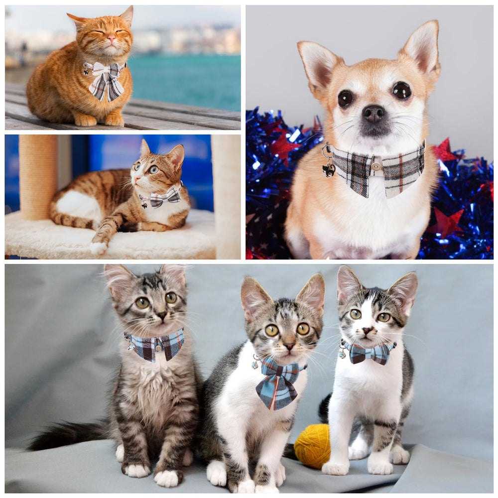 DILLYBUD bells-on-collar photo shows audible cue to locate a cat.