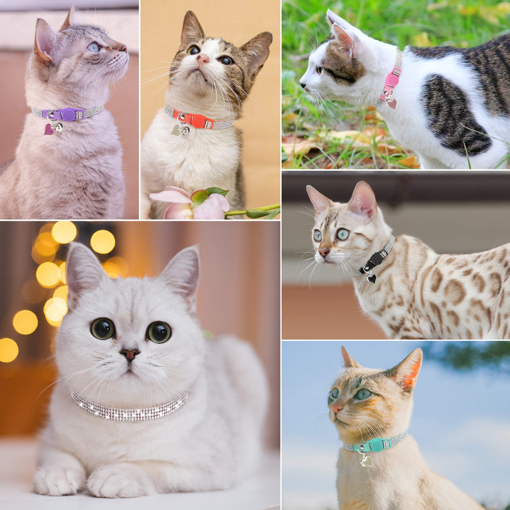 DILLYBUD gift-ready packaging makes gifting pet collars simple and stylish.