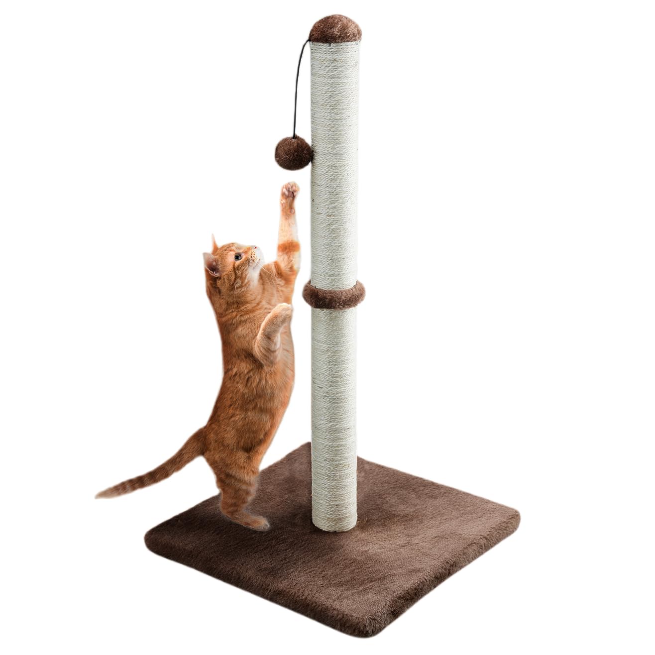 Dimaka 34-inch tall cat scratching post shows sturdy vertical design for multi-cat homes