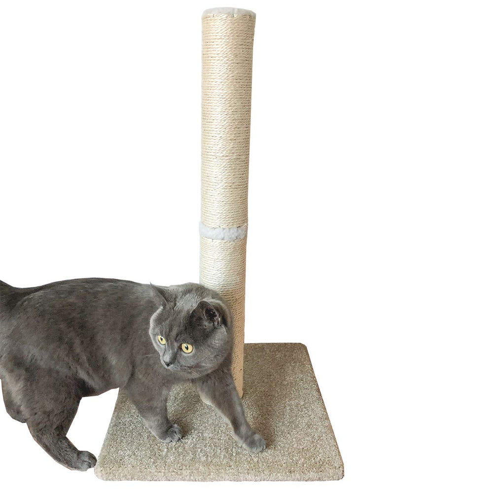 Dimaka cat scratch post suitable from kittens to adults