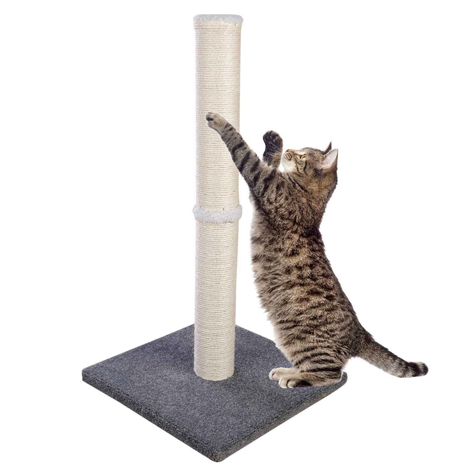 Dimaka cat-scratching-post tall base 29in for all sizes, stability advantage