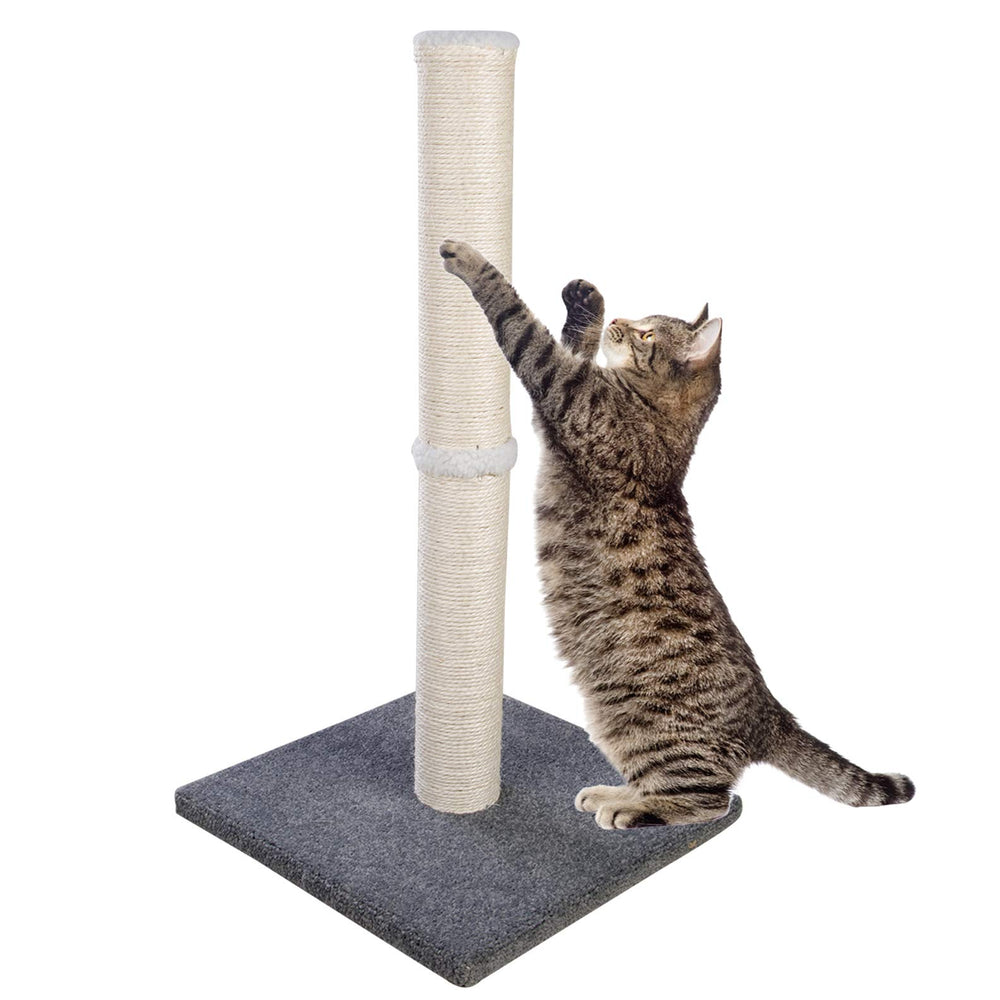 Dimaka cat-scratching-post tall base 29in for all sizes, stability advantage
