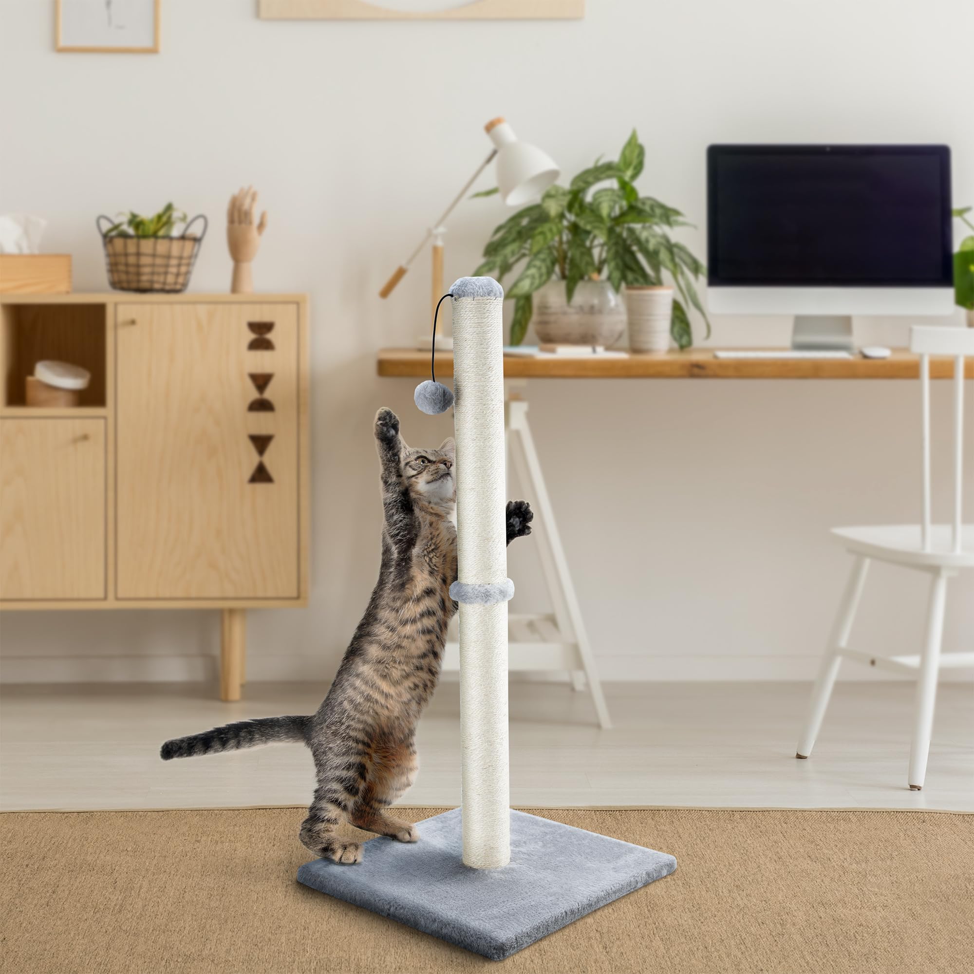 Dimaka easy-assembly kit with tools enables quick setup.