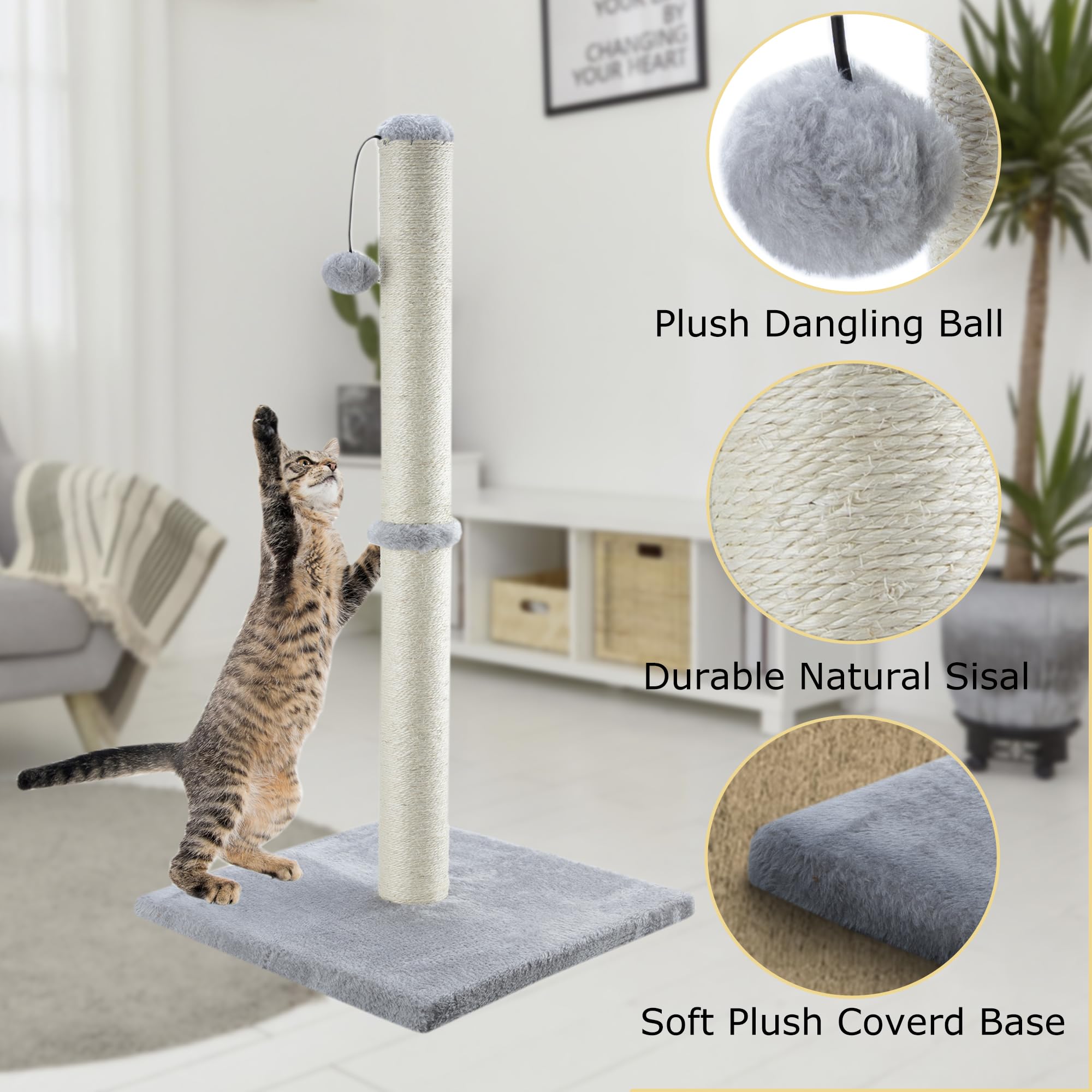 Dimaka interactive hanging ball adds playful engagement during scratching sessions.