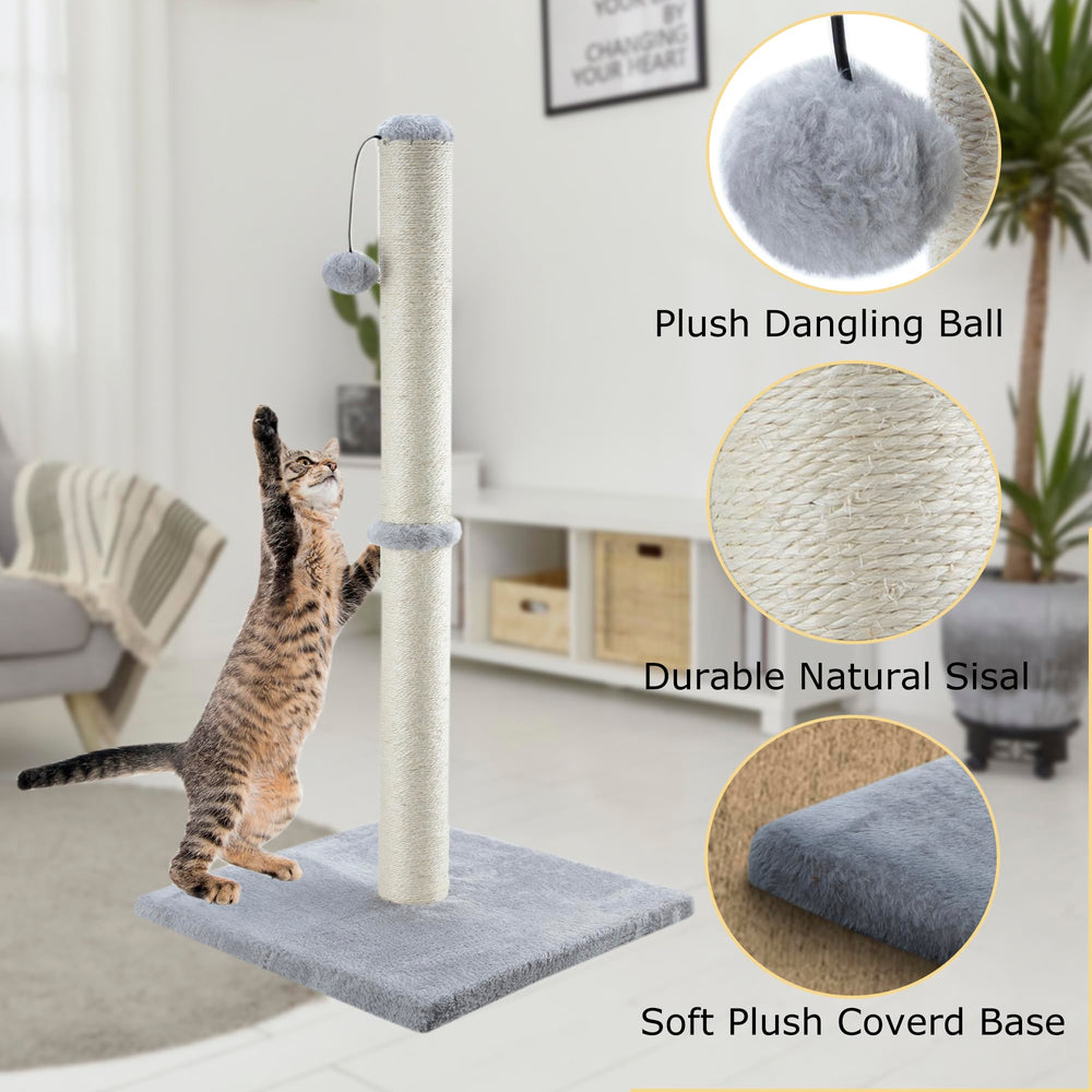 Dimaka interactive hanging ball adds playful engagement during scratching sessions.