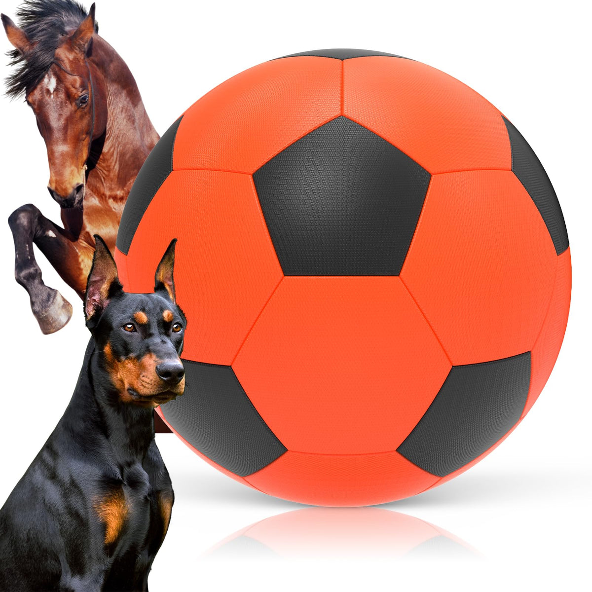 Diman Herding Ball 25inch for outdoor play, rugged and fun for dogs.