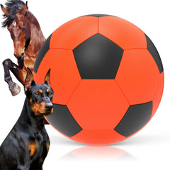 Diman Herding Ball 25inch for outdoor play, rugged and fun for dogs.