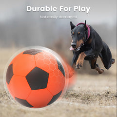 Diman Herding Ball orange-black colorway in close-up highlights durability.