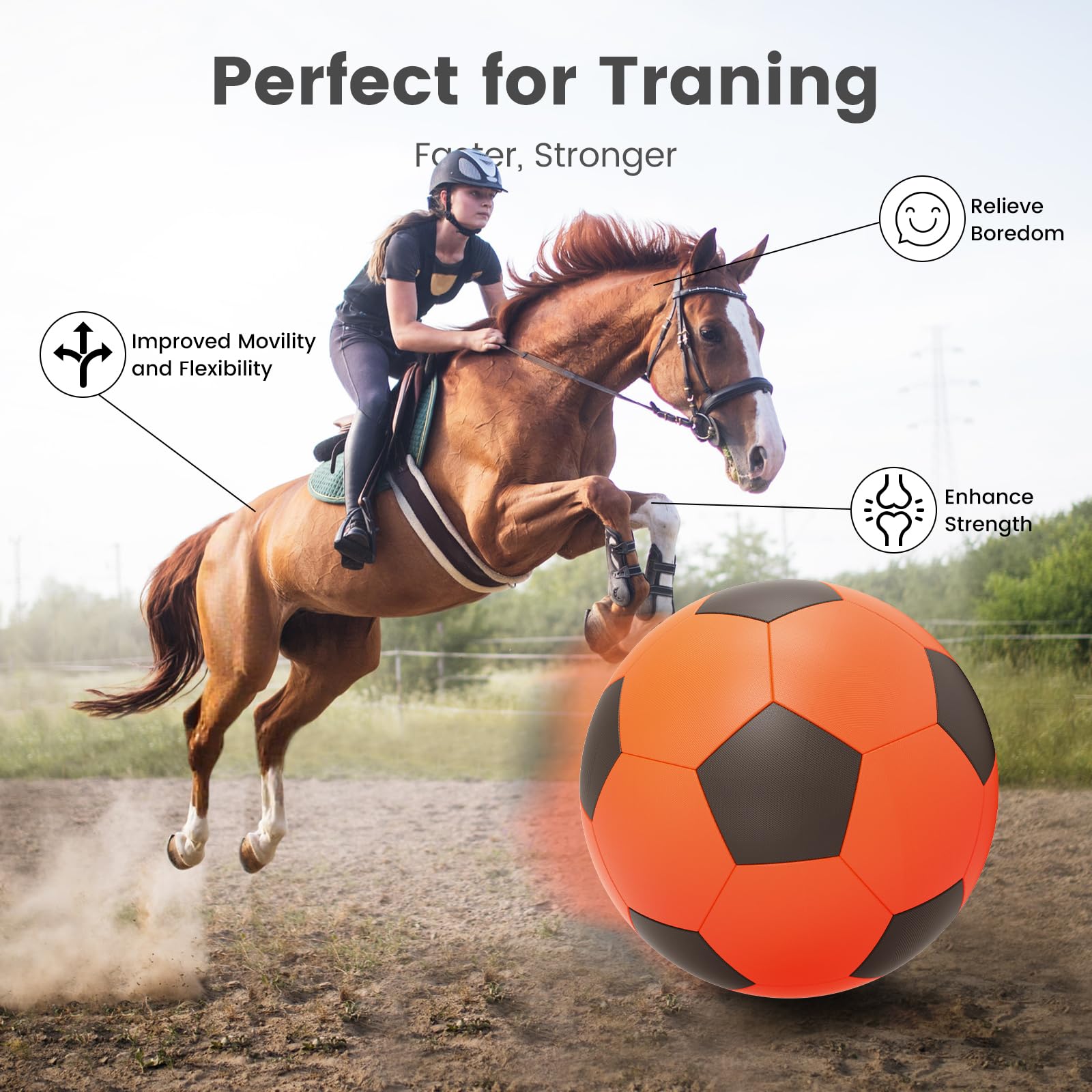 Diman Herding Ball on grass outdoors reduces boredom through active play.