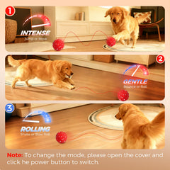 Diman interactive dog ball modes provide options for intense, gentle, or rolling play