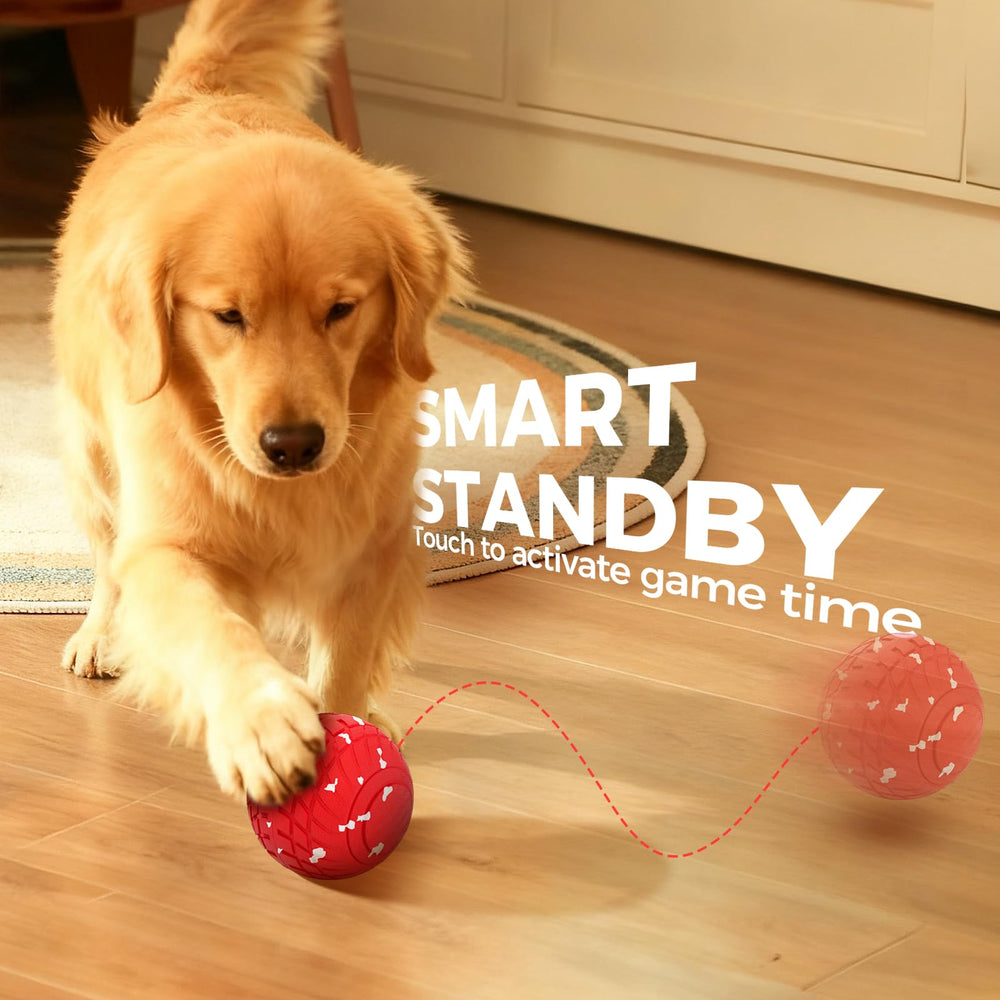 Diman ball in red and white color for high visibility during play