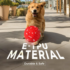 Diman interactive dog ball with three-point-two-inch diameter for versatile sizing