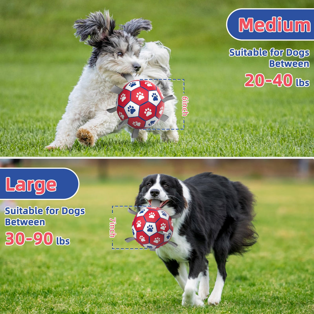 Diman Premium Dog Ball with included air pump for proper inflation prep