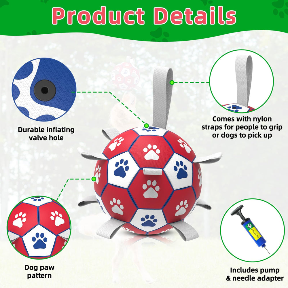 Diman premium large dog ball at beach scene promoting interactive outdoor games