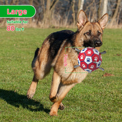 Diman premium large dog ball in water showing buoyant play for pools