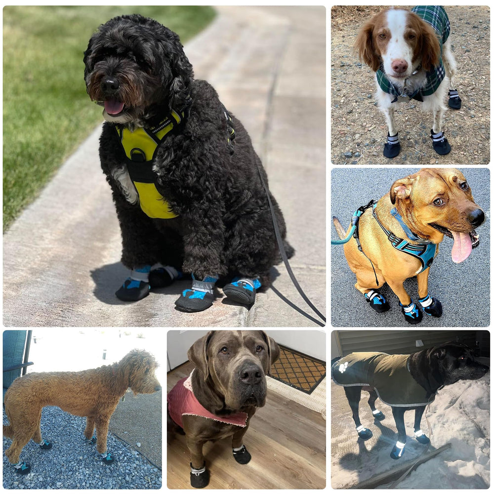 Dimicoo machine-washable dog boots simplify cleaning after adventures.