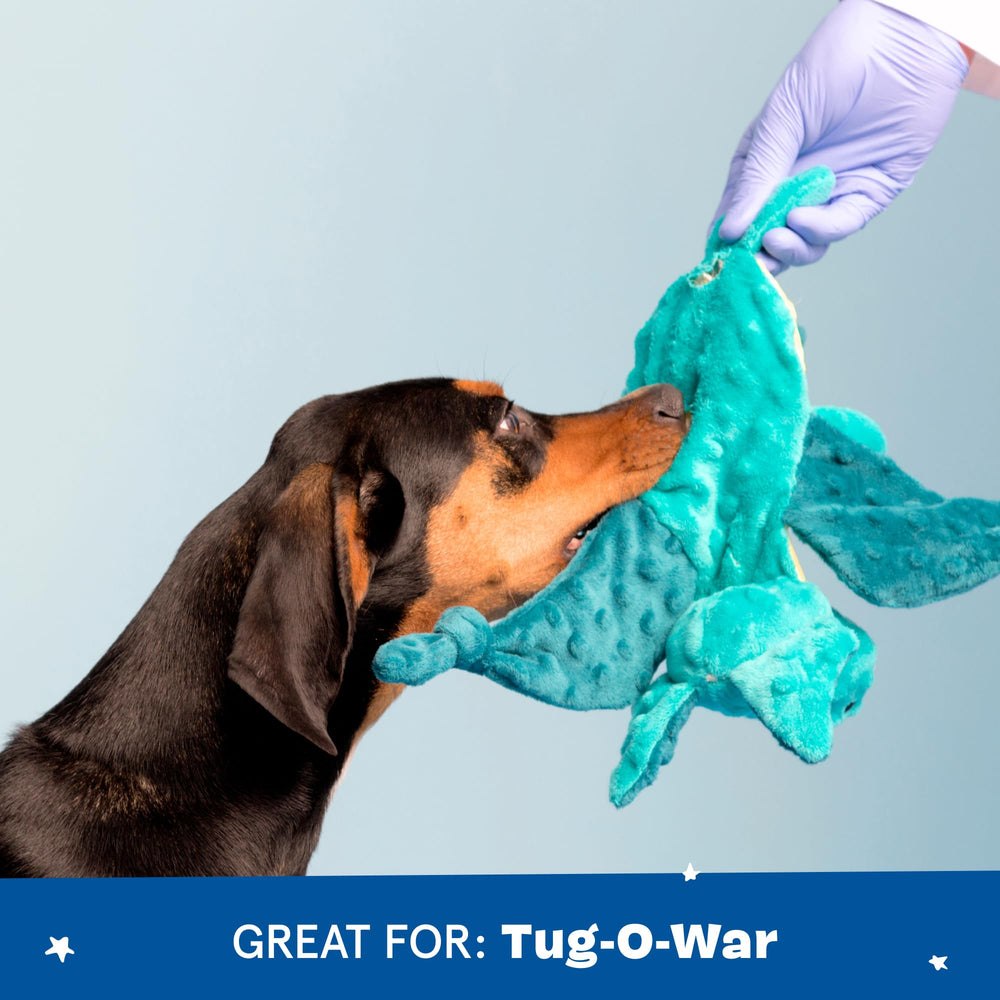 Dingbert dragon toy shows two squeakers and crinkly wings for sensory play.