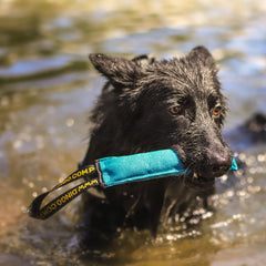 Dingo Cotton Tug Toy with Handle – retrieve training friendly