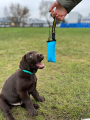 Dingo Cotton Tug Toy with Handle – tug action for interactive play