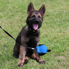 Dingo Gear handmade blue-black dog toy suited for fetch and retrieval.