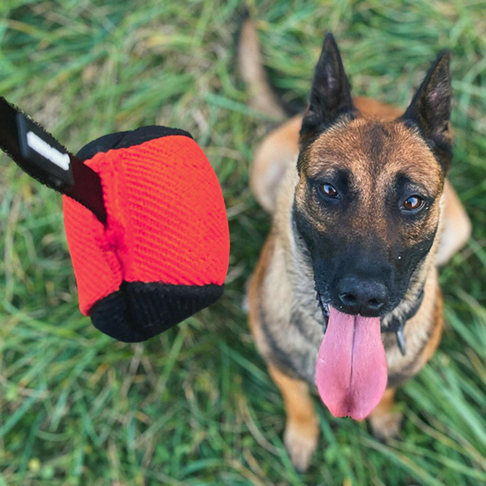 Dingo Gear handmade dog toy in red and black for playtime