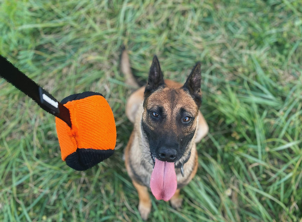 Dingo Gear soft-durable dog toy close-up highlighting safe-filled linen for puppies.