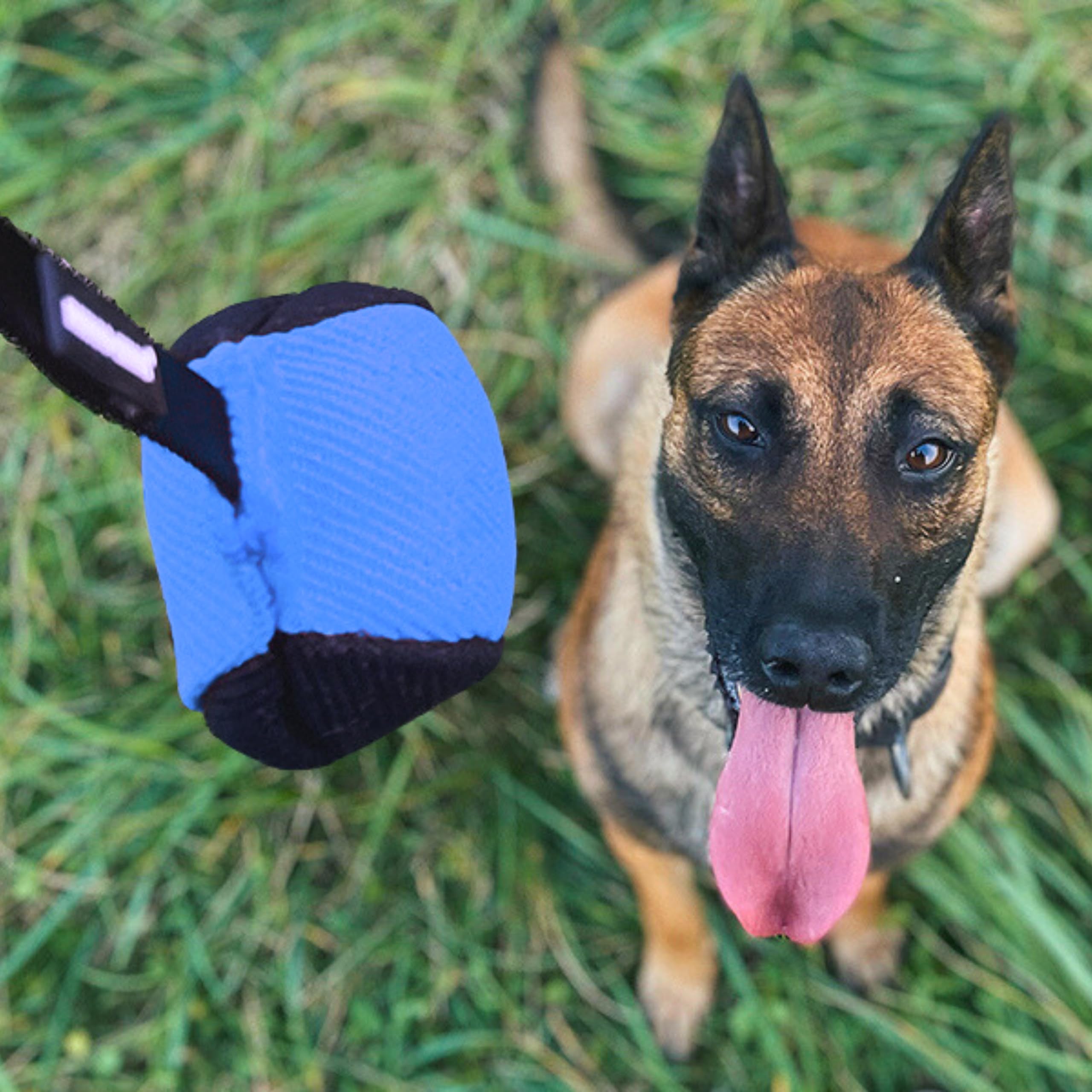 Dingo Gear tug-of-war ball with rope emphasizes secure grip during games.