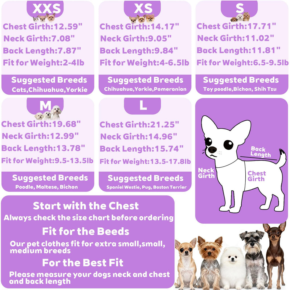 Dinkinty cat-dog lounge wear purple styling for daily comfort.