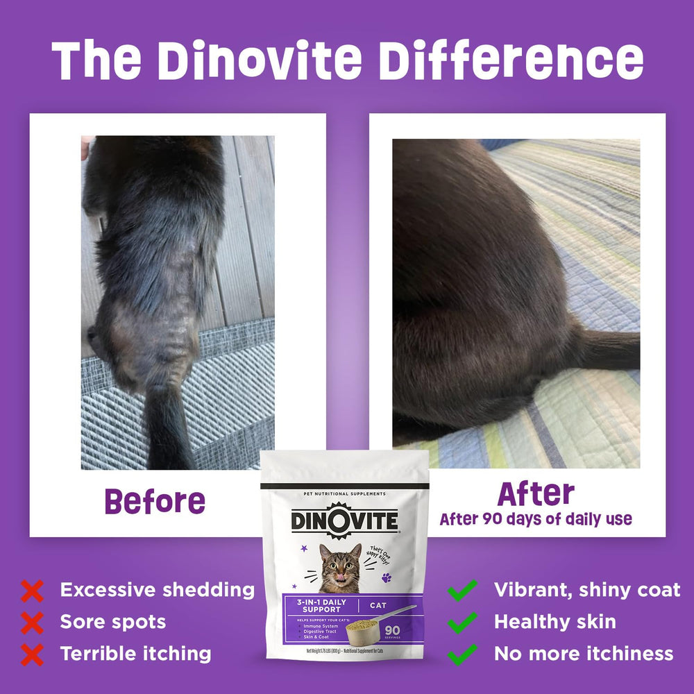 Dinovite for Cats prebiotic-probiotic complex jar demonstrates gut-friendly formula promoting digestion and resilience.