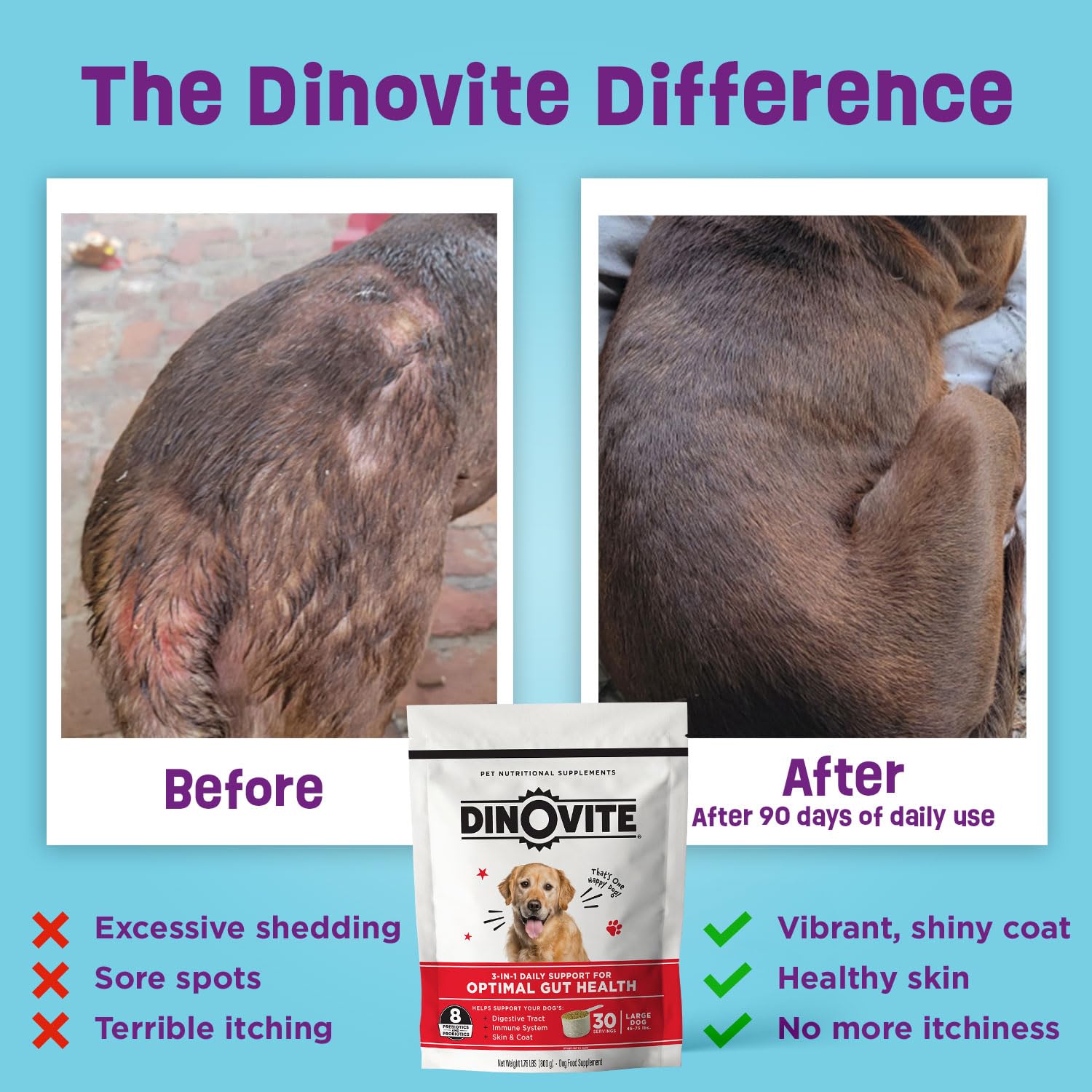 Dinovite dog food toppers pack shows convenient toppers to boost meals and palatability.
