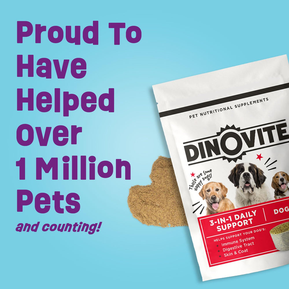 Dinovite dry skin coat hydration boost demonstrates improved coat moisture.