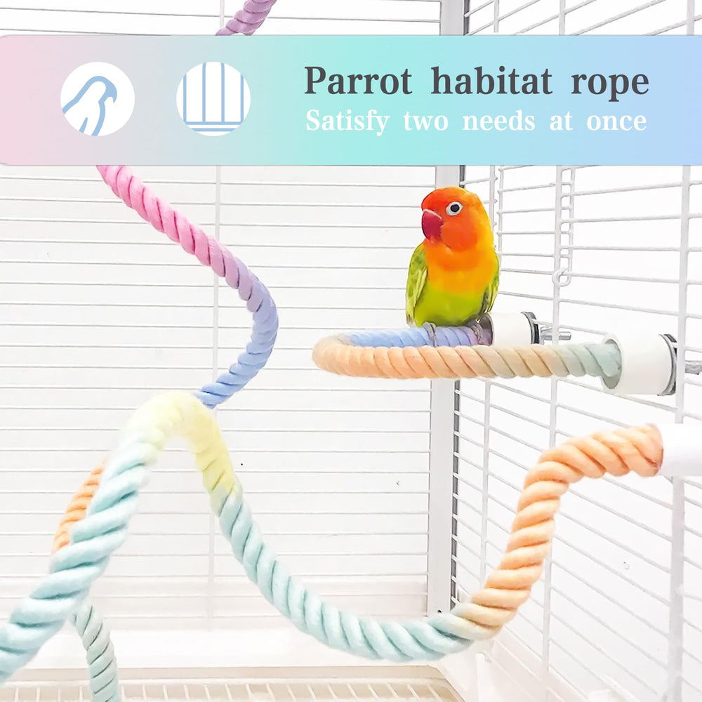 DINTSTYLE gradient color design stimulates curiosity during playtime.