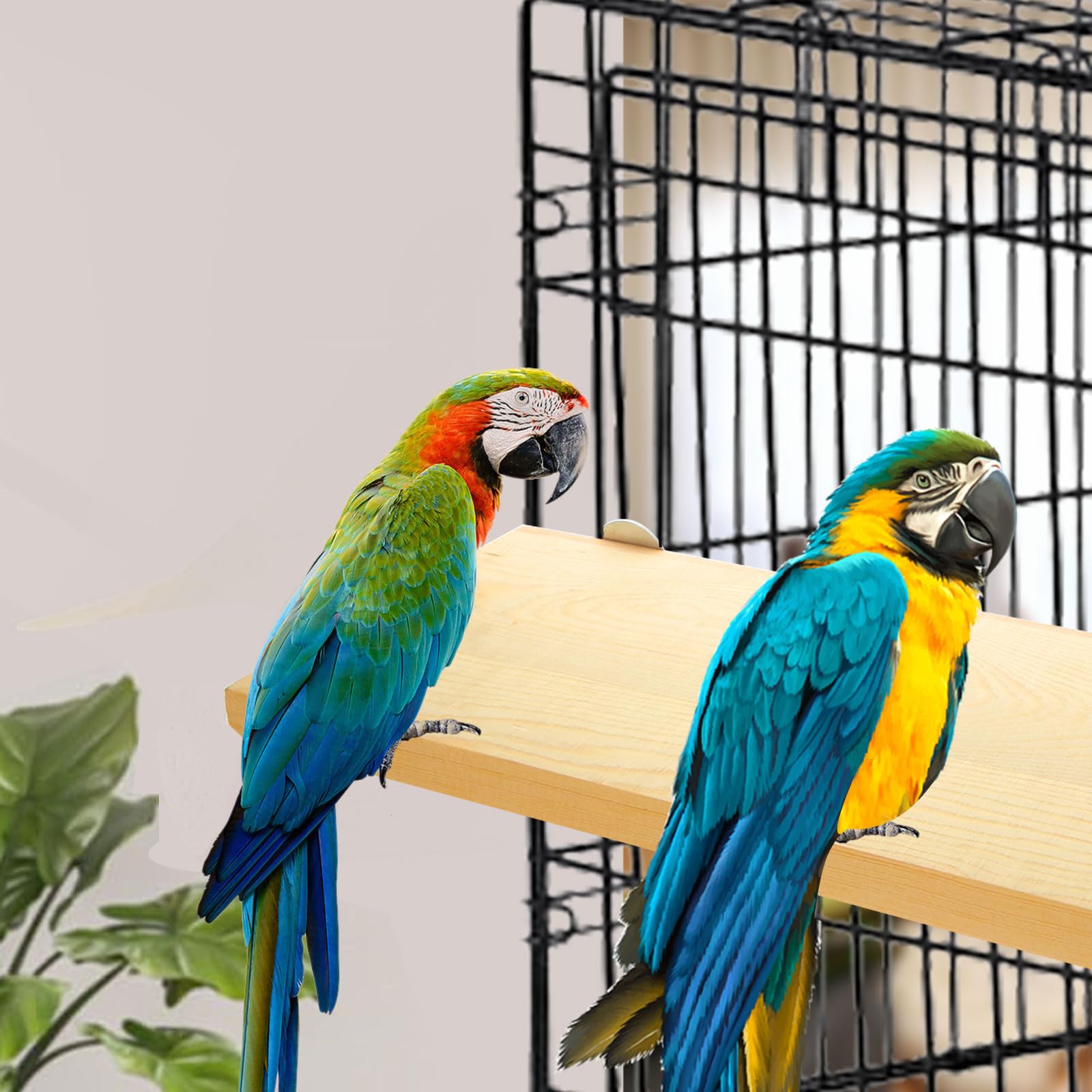 DIRBUY easy-install perch with bolts demonstrates secure mounting in cages.