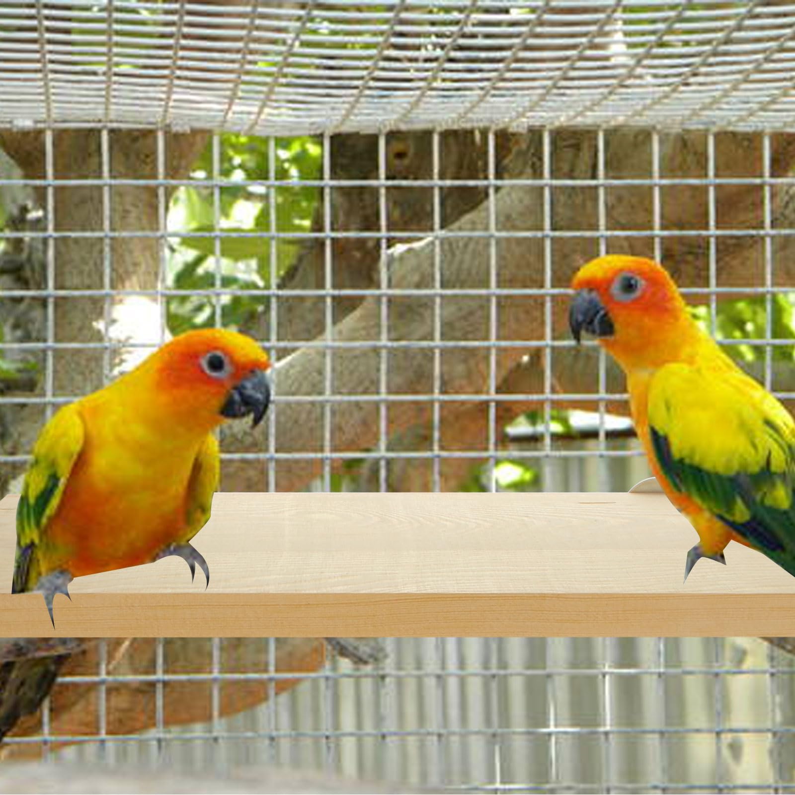 DIRBUY rectangle platform perch large size suitable for multiple birds in one cage.