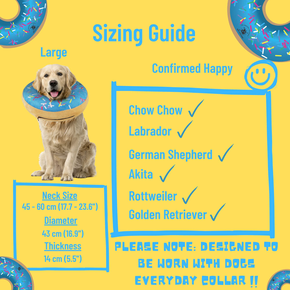 Dirty Little Paws inflatable dog collar in blue shows comfortable, mess-free design.